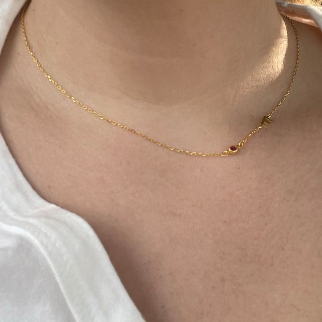 Customer photo review of Birthstone Initial Necklace