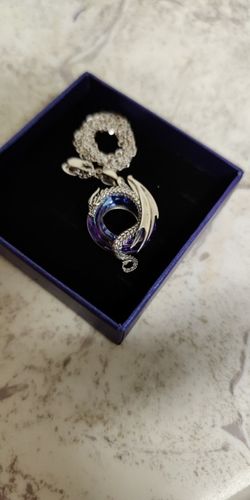 Customer photo review of Collier Dragon<br> Élégance Argentée (Argent)