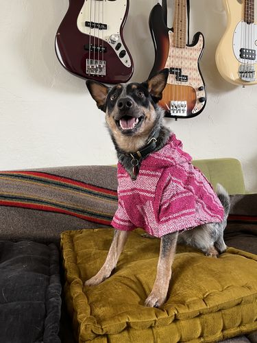 Customer photo review of Playa Poncho - Surprise Color