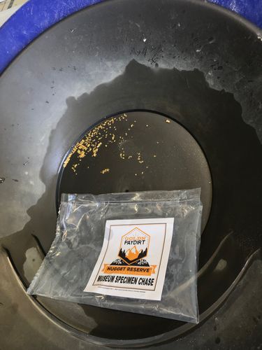 Customer photo review of Nugget Reserve 'MUSEUM SPECIMEN CHASE' - Gold Panning Paydirt Concentrate