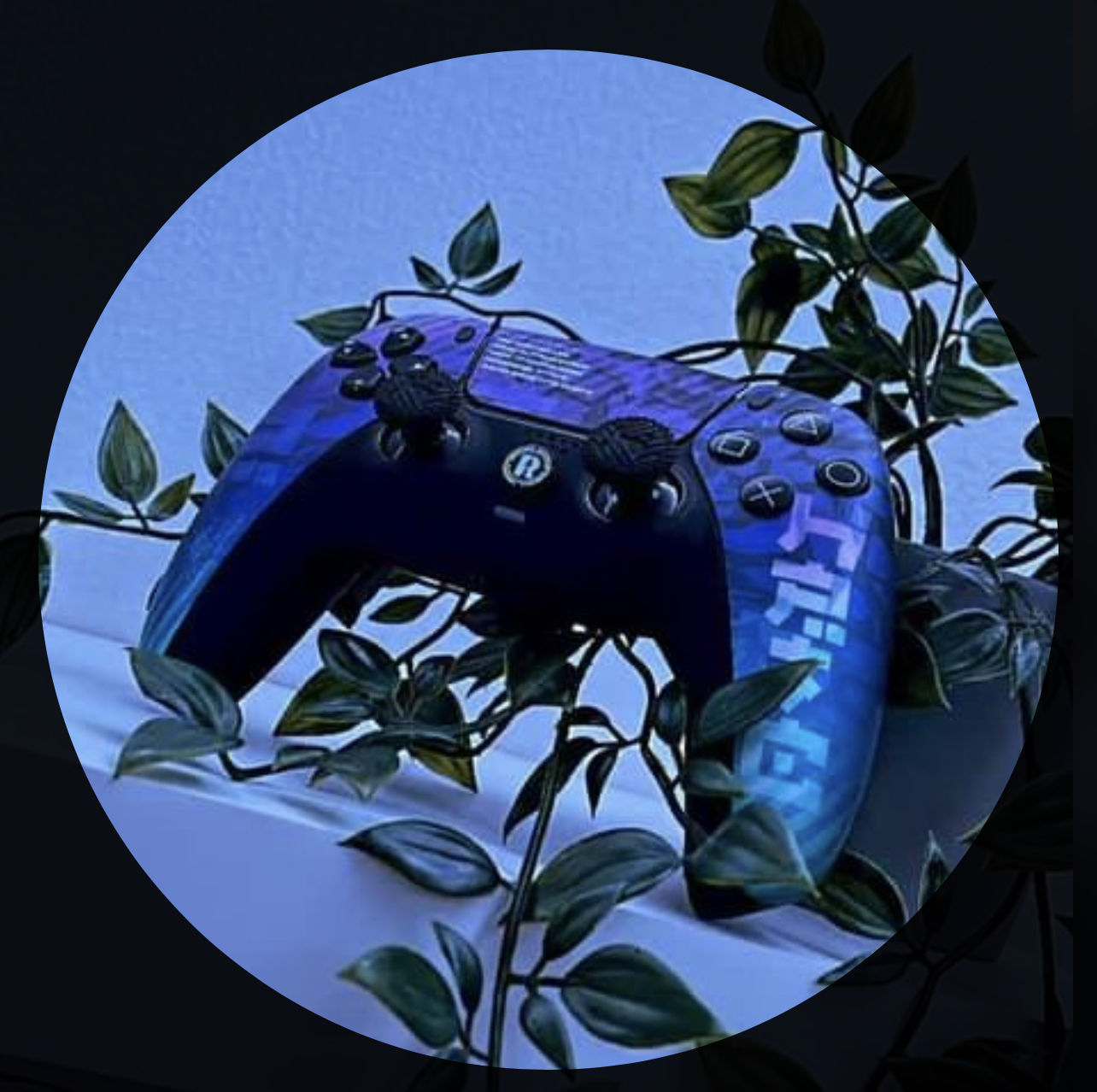 Customer photo review of Rocket Force PRO Haptic