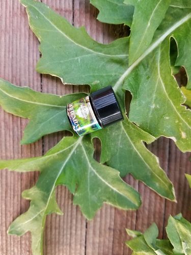 Customer photo review of Bohemian