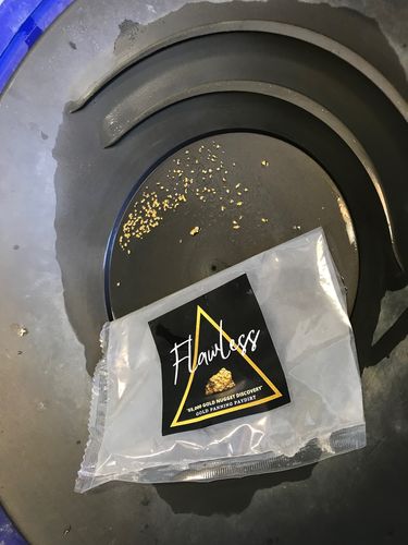 Customer photo review of *TROGO* Flawless '$5,000 GOLD NUGGET DISCOVERY' - Gold Panning Paydirt