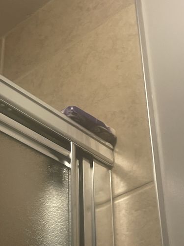 Customer photo review of Purple Passion