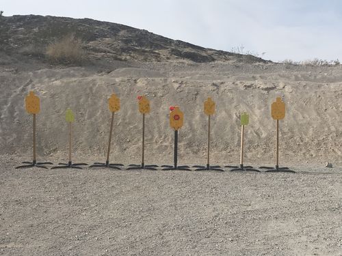 Customer photo review of 12" X 20" X 3/8" Hostage Target Stand System