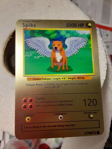 Customer photo review of Product options