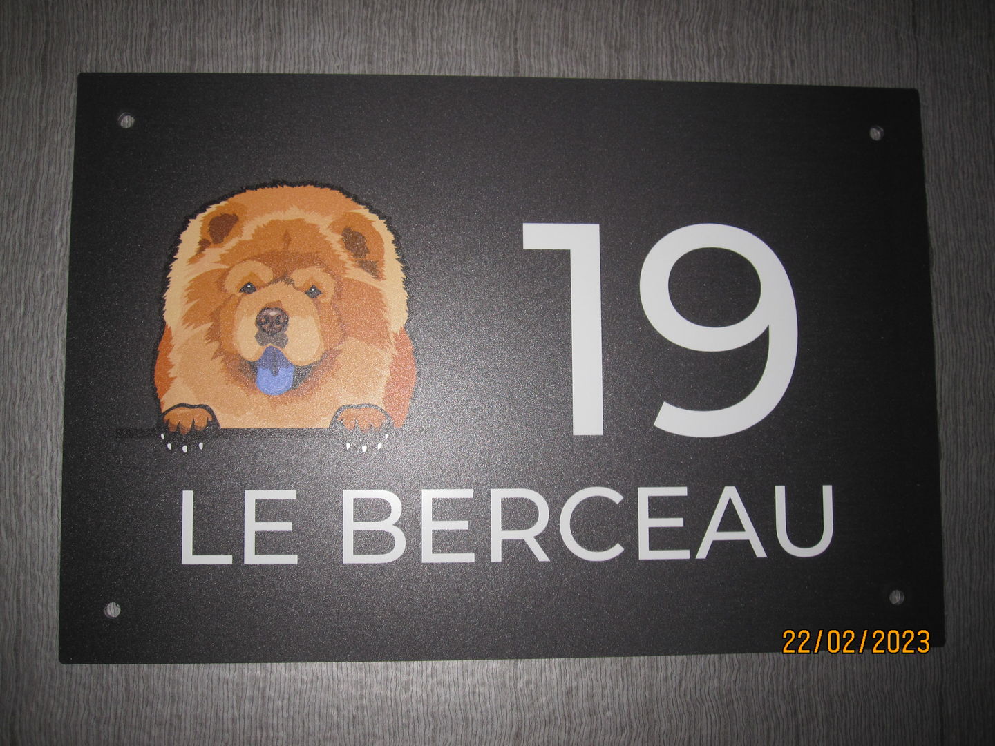 Customer photo review of Chiens curieux et numéro de maison - Plaque de porte personnalisée