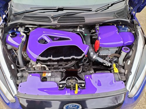 Customer photo review of Proform Fuse Box Cover (various colours) -  Mk7/7.5 Ford Fiesta