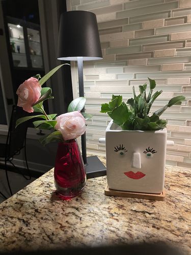 Customer photo review of Florence: Italian Designer Lamp