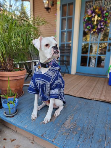 Customer photo review of Playa Poncho - Surprise Color