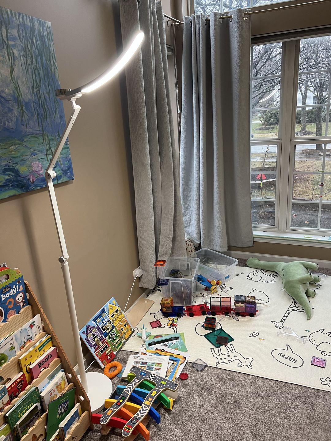 Customer photo review of Happy Nocnoc Adjustable e-Reading Warm/Cool White LED Floor Lamp (Only for the U.S.)
