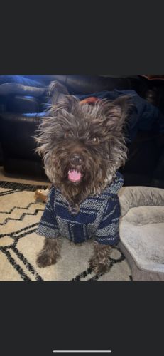 Customer photo review of Playa Poncho - Surprise Color