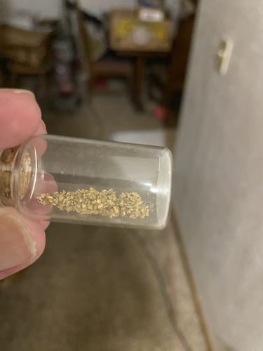 Customer photo review of Nugget Reserve 'MUSEUM SPECIMEN CHASE' - Gold Panning Paydirt Concentrate