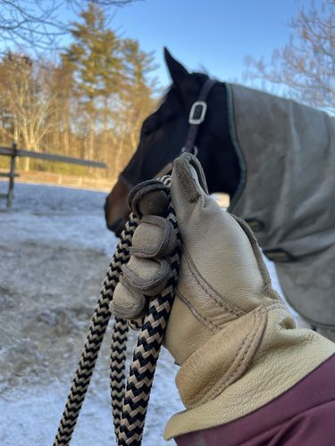 Customer photo review of Beeswax Waterproofing