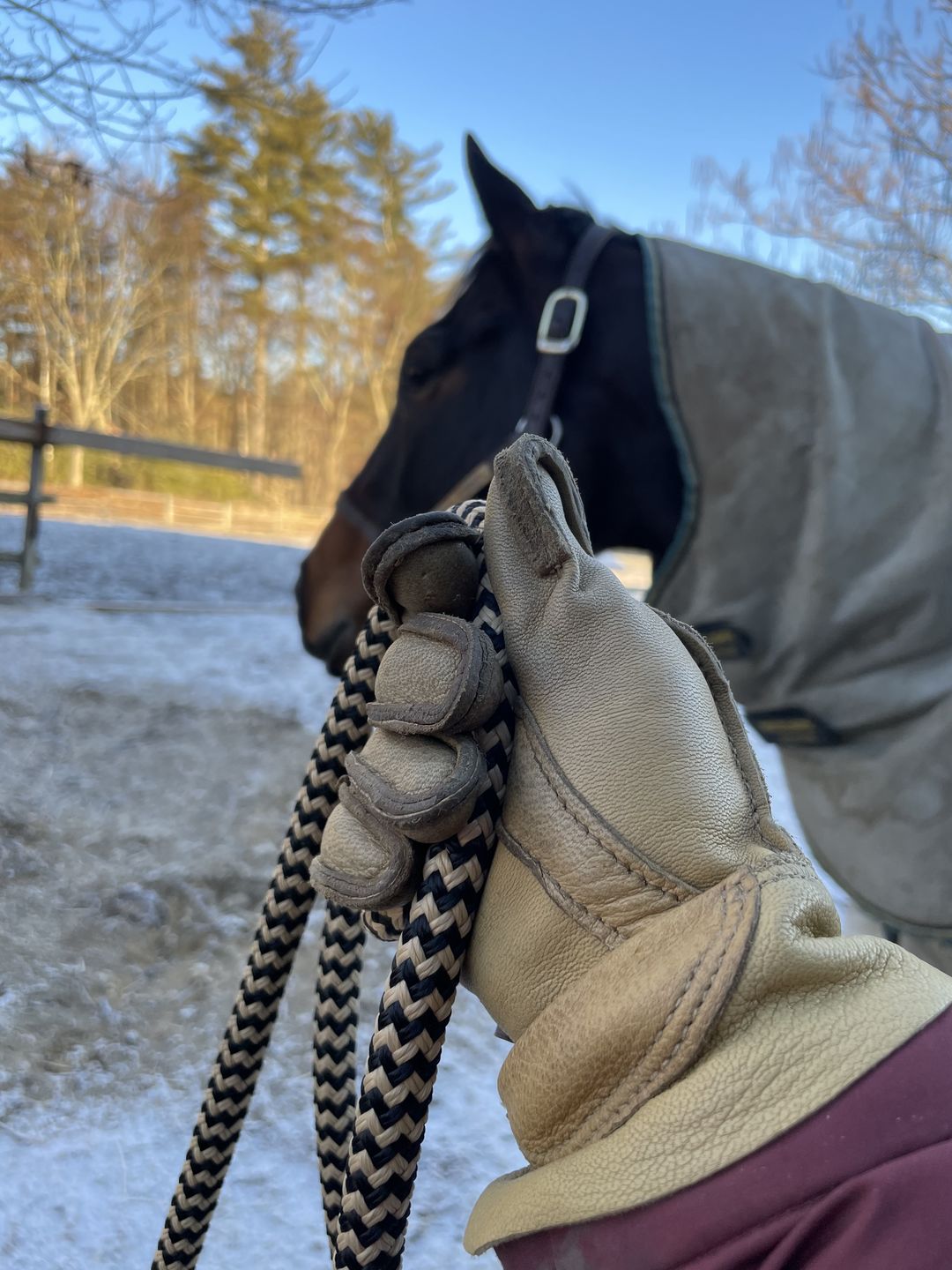 Customer photo review of Waterproofer