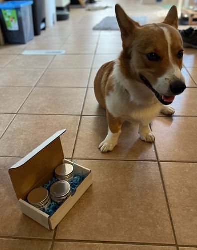 Customer photo review of Variety Pack Trio