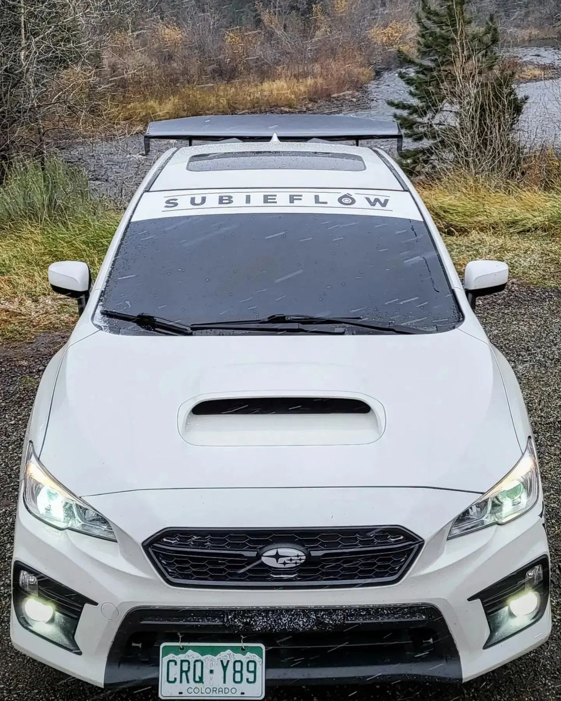 Customer photo review of Reverse Cut Windshield Banners
