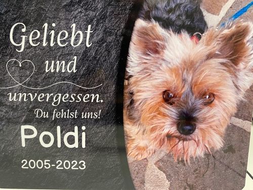 Customer photo review of Schlüssel- Anhänger mit Foto "Hund"