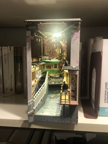 Customer photo review of Rolife | Book Nook Sakura Densya