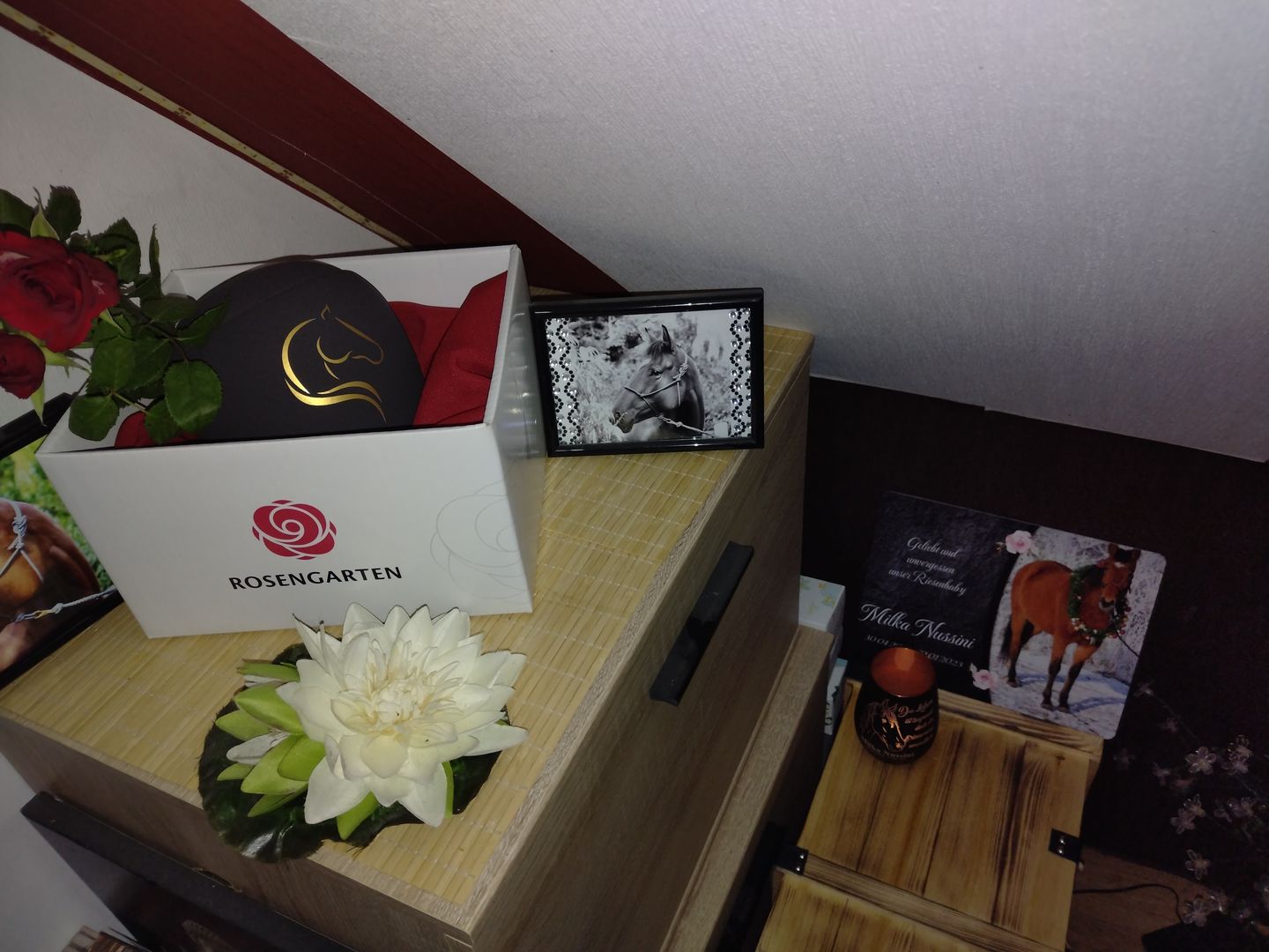 Customer photo review of Pferde Gedenktafel mit Foto & Spruch