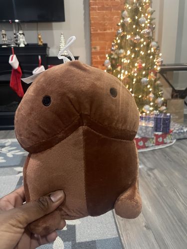 Customer photo review of PeePee Pillow