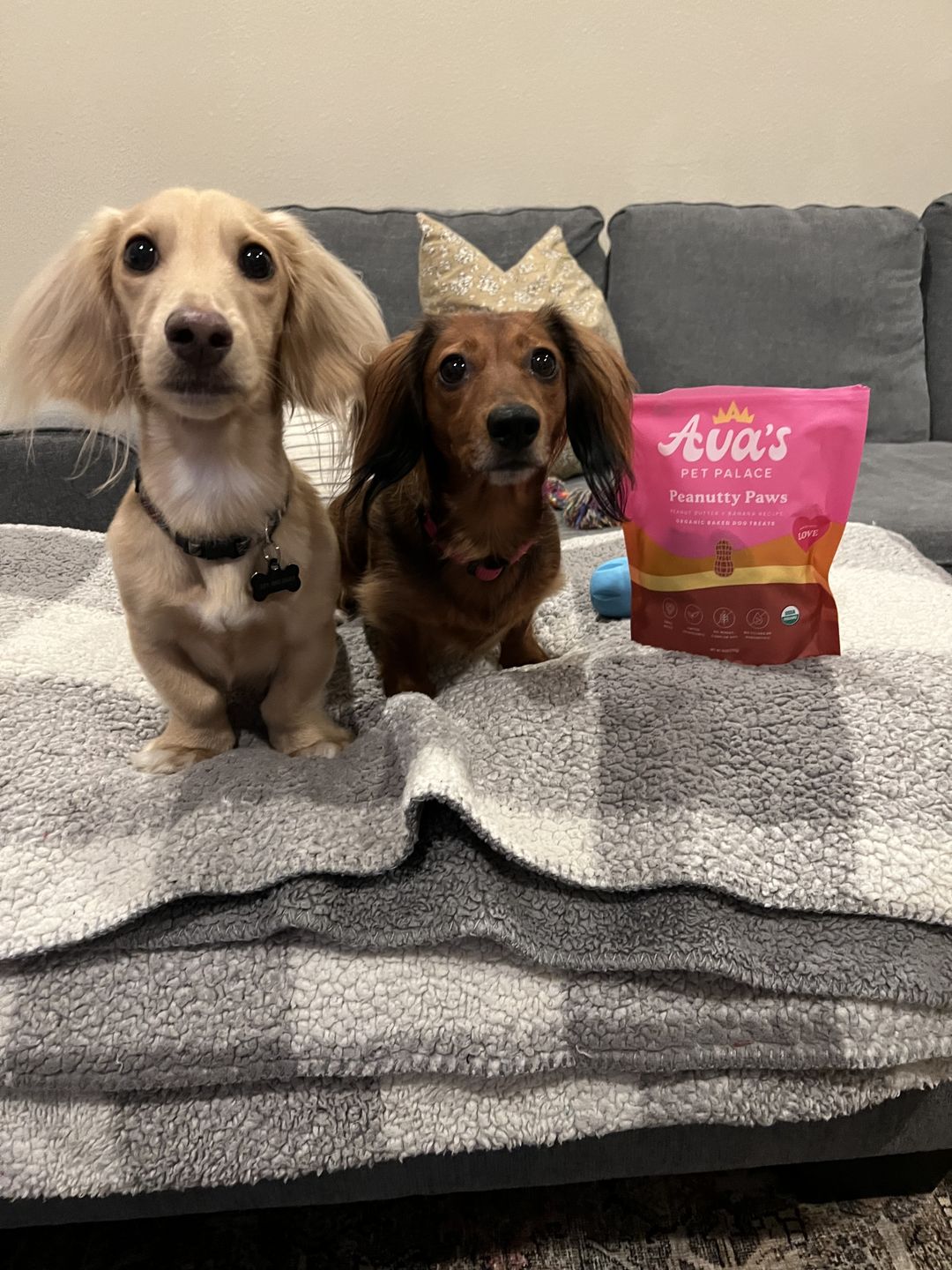Customer photo review of Organic Baked Dog Treats - Peanutty Paws