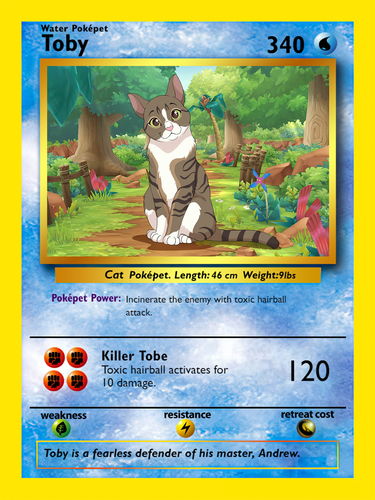 Customer photo review of PokePet Canvas