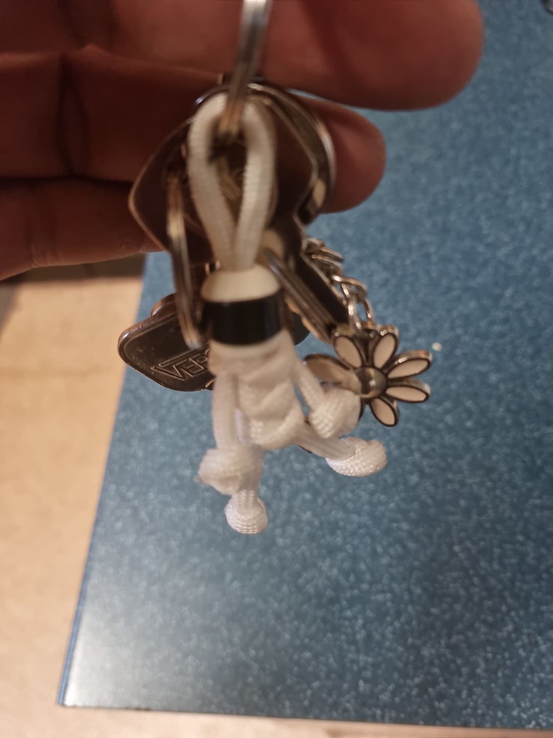 Customer photo review of The Stig Paracord Buddy Keychain