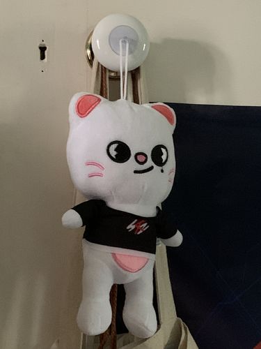 Customer photo review of Stray Kids SKZOO Plushie