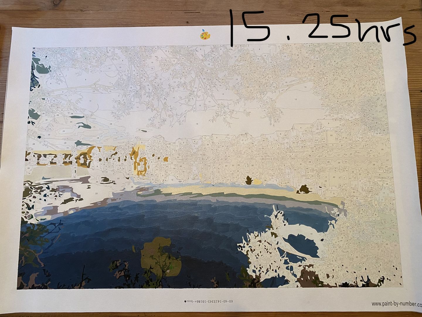 Customer photo review of Custom Paint by Numbers Kit | Just Upload Your Photo!