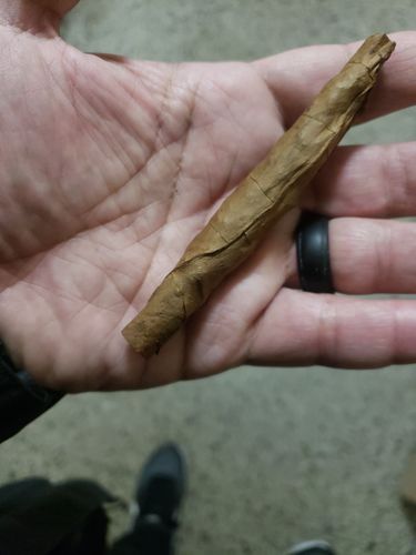 Customer photo review of Russian Cream LooseLeaf (40 Count)