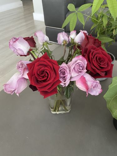 Customer photo review of Red & Purple Bouquet - Valentines