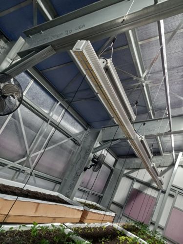 Customer photo review of Hortibest 660W Full Spectrum LED Grow Light with 2.8 umols/j Linear Greenhouse LED Top Lighting Array.