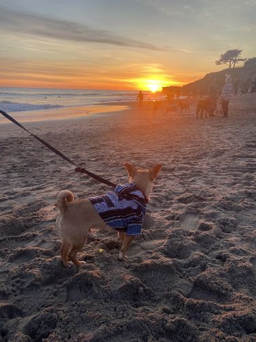 Customer photo review of Playa Poncho - Surprise Color