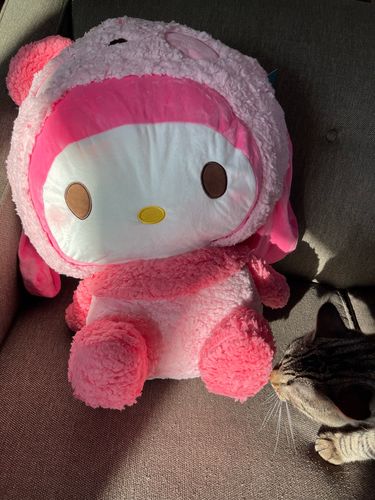 Customer photo review of My Melody Snuggle Buddy Plushie
