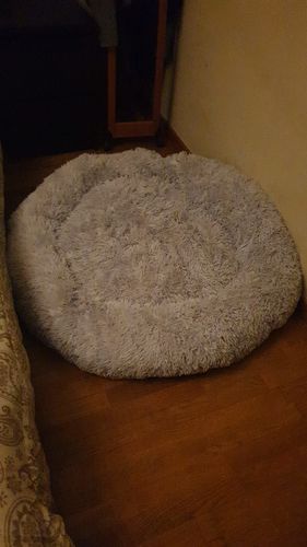 Customer photo review of Cuccia Antistress Per Pelosetti - Super Cucciolo®