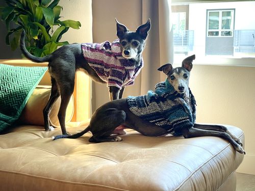 Customer photo review of Playa Poncho - Surprise Color