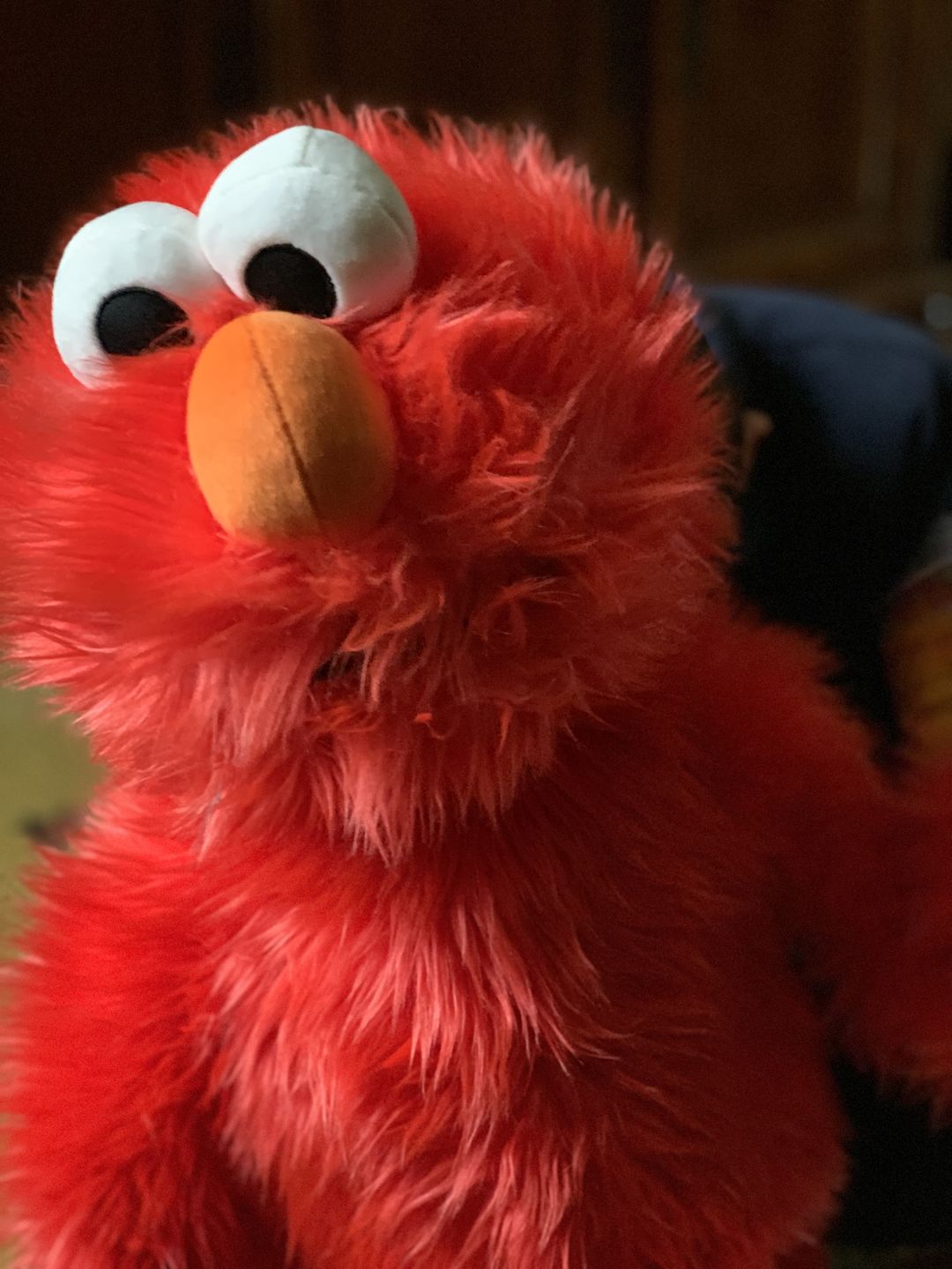 Customer photo review of Elmo Marionnette Sesame Street