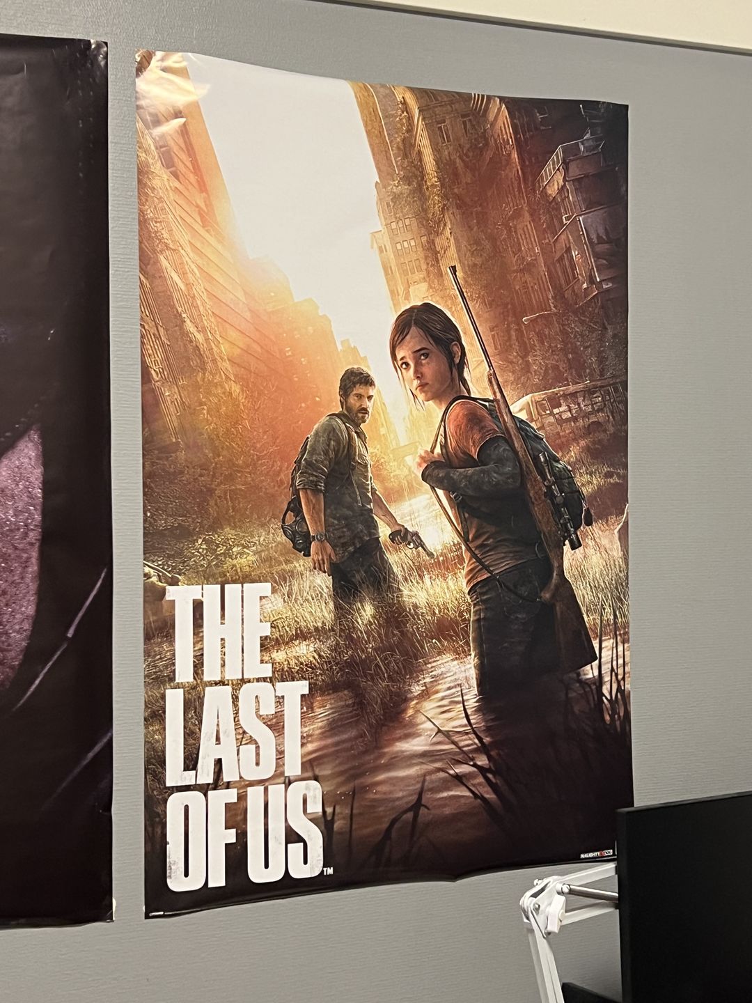 Customer photo review of The Last of Us Plakat