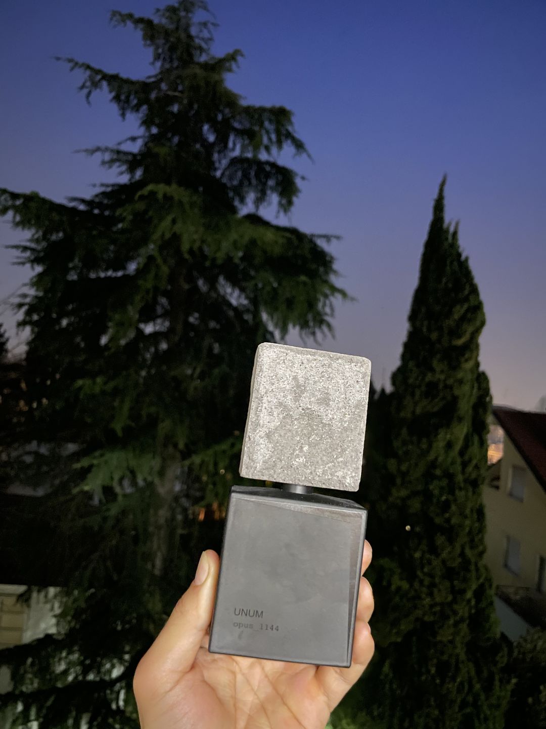 Customer photo review of FILIPPO SORCINELLI - OPUS 1144