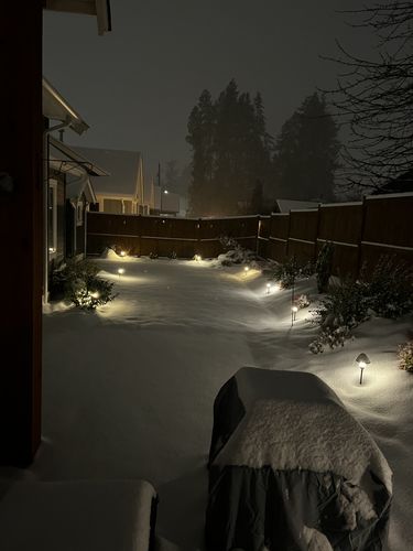 Customer photo review of Single Tier LED Pathway Light (PL101B)