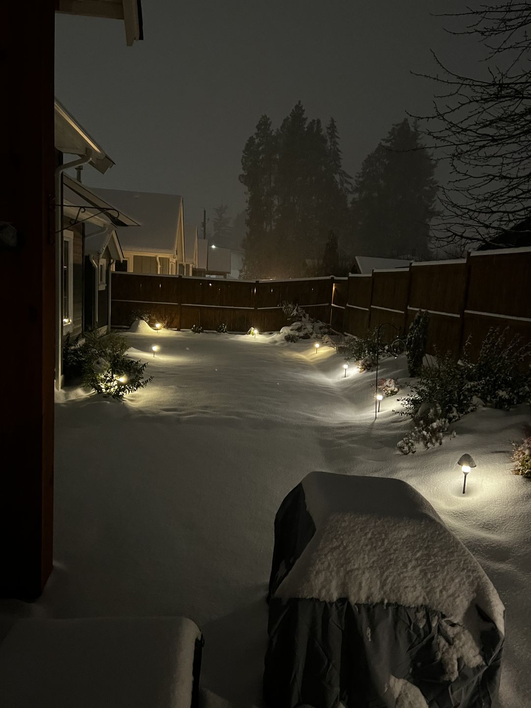 Customer photo review of Single Tier LED Pathway Light (PL101B)