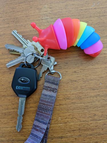 Customer photo review of Sensory Slug Keychain