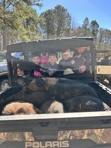 Customer photo review of Pig Brig Trap System