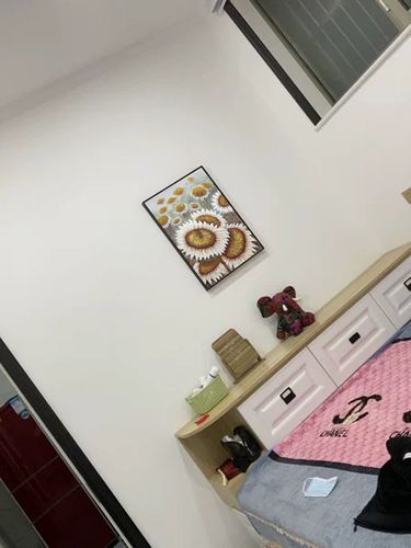 Customer review photo for Plaster Art Texture Painting #SG031