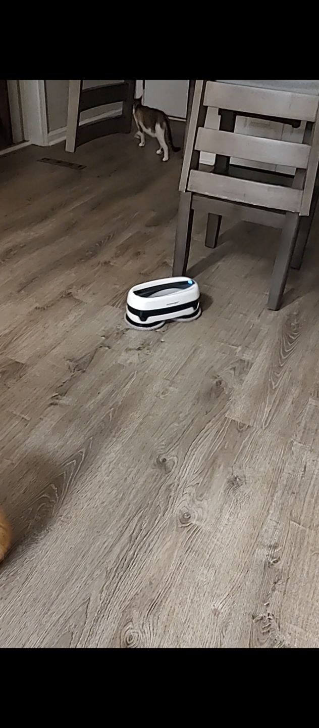 Customer photo review of Everybot Edge Mopping Robot w/2yr Warranty-Dual Motors for Extra Powerful Cleaning, Remote Control