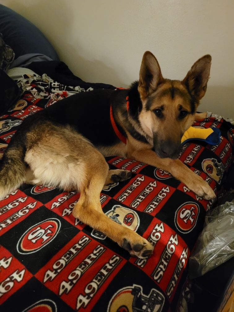 Customer photo review of Somnia Sleep Gummies