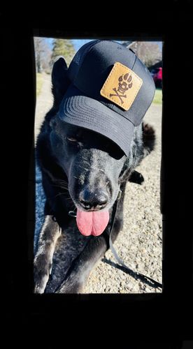 Customer photo review of Richardson 112 Custom Leather Patch Hat