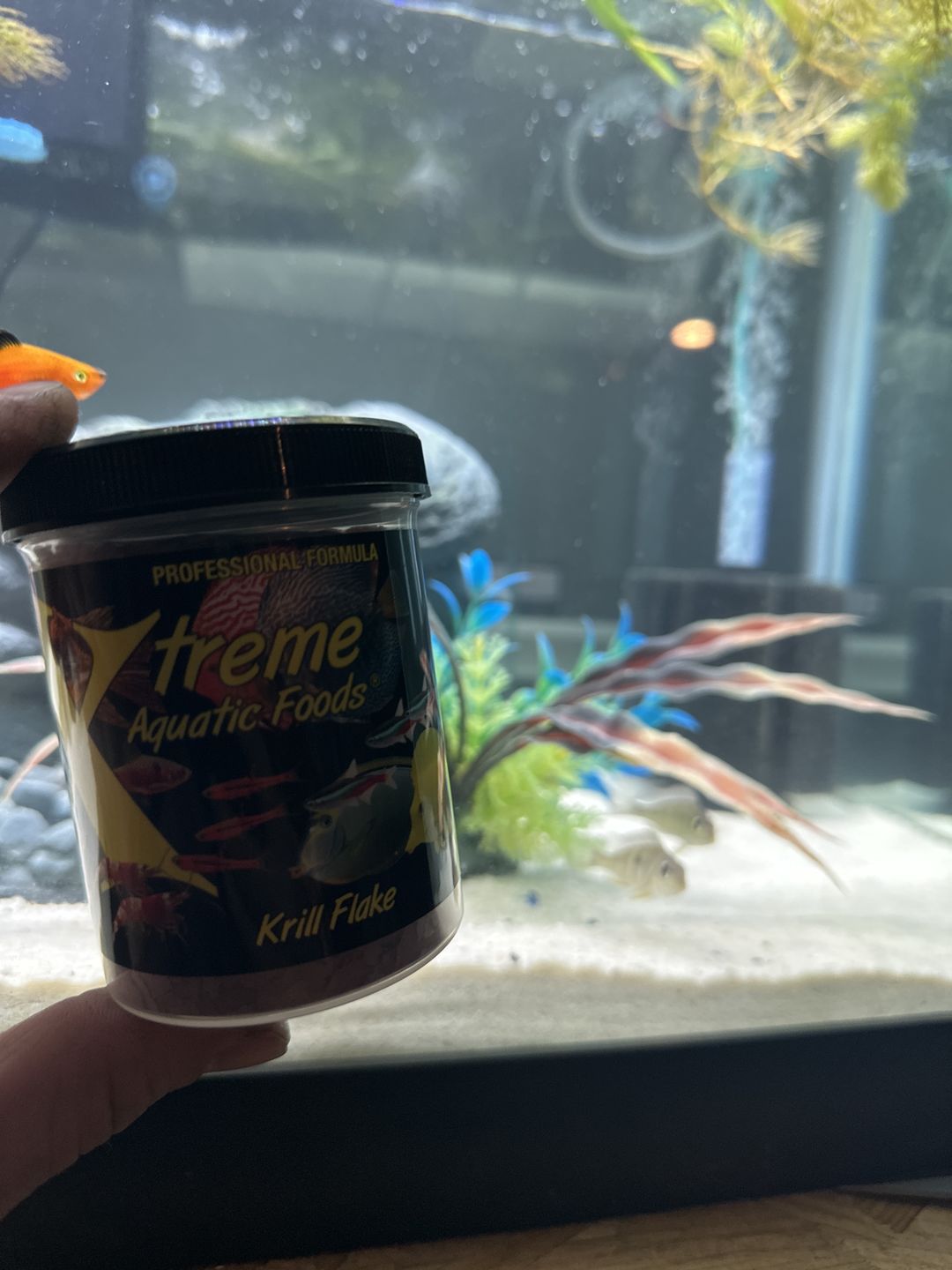 Customer photo review of Xtreme Krill Flakes