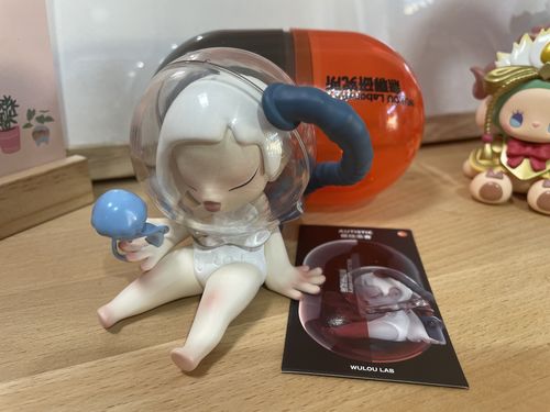Customer photo review of SUVII Vaccine Blind Box